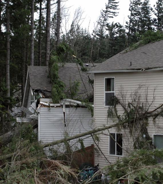 home restoration electrcian services