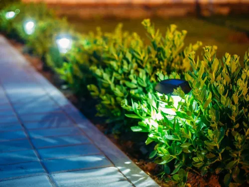 easy ways to go green
