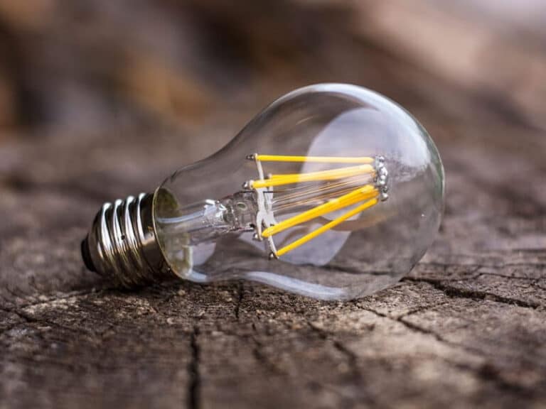light bulb on wood trunk
